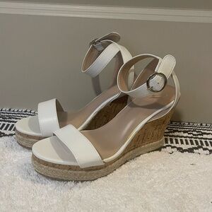 Windsor Brand Platforms